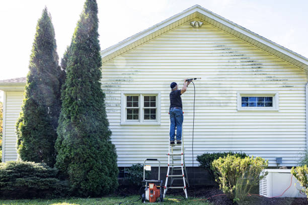 Animal Enclosure Cleaning in Central High, OK
